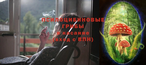 Альфа ПВП Аркадак